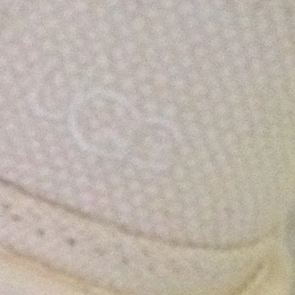 UGG Neumel Natural Canvas Booties